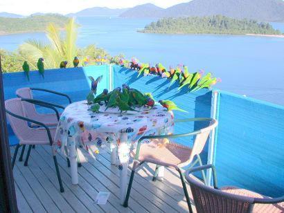 Coral Point 3*