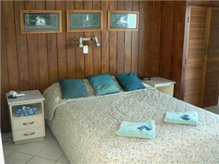 Coral Point Shute Harbour