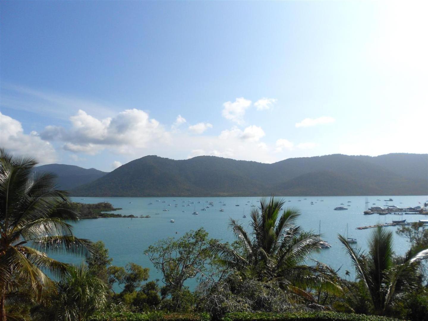 Coral Point Shute Harbour